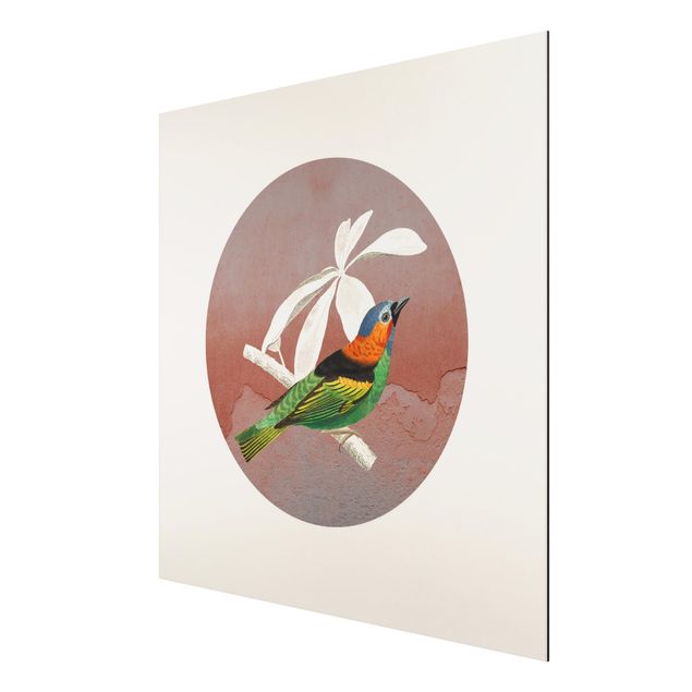 Modern art prints Bird Collage In A Circle ll
