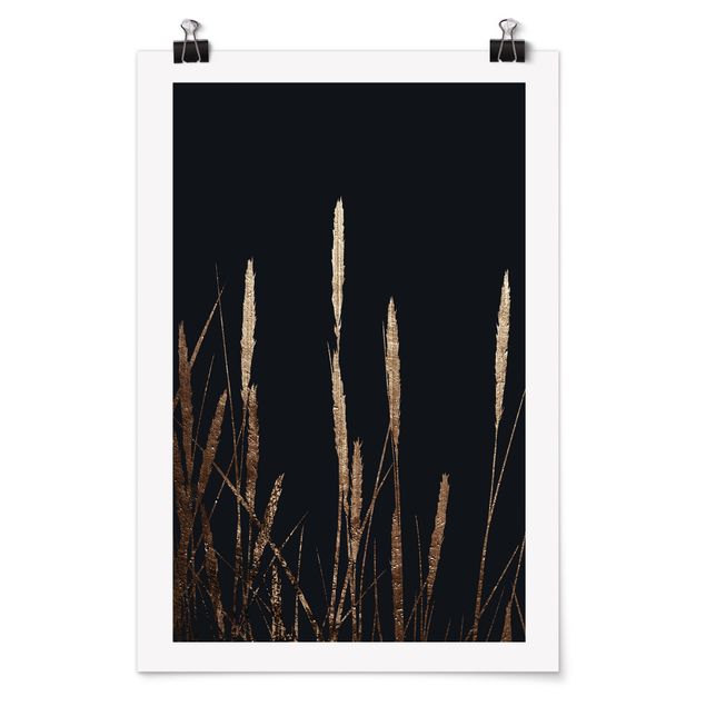 Art posters Graphical Plant World - Golden Reed