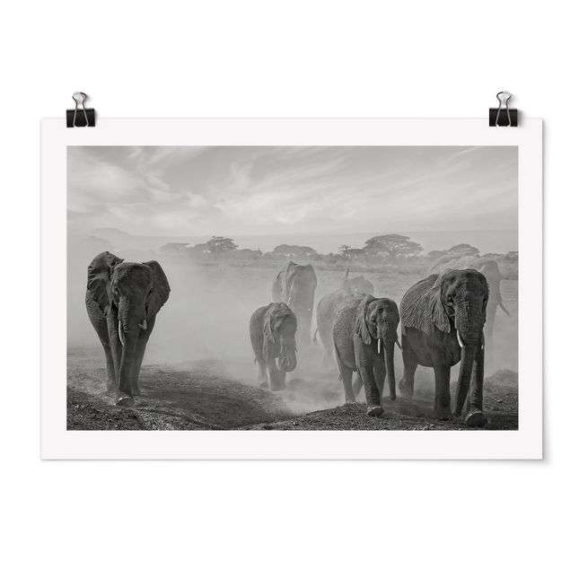 Animal wall art Herd Of Elephants