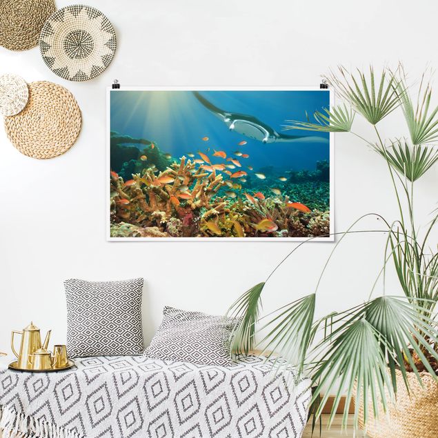Prints fishes Coral reef