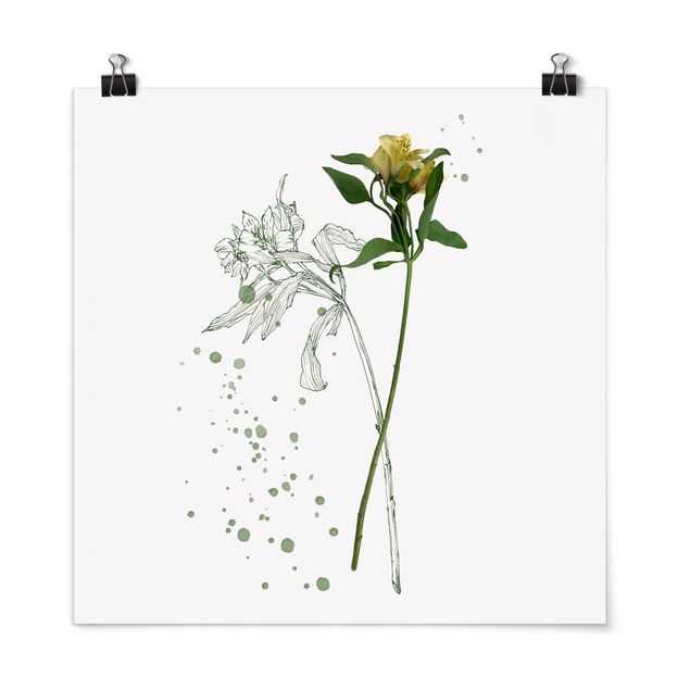 Floral prints Botanical Watercolour - Lily