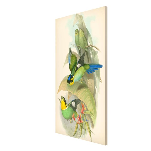 Floral canvas Vintage Illustration Tropical Birds