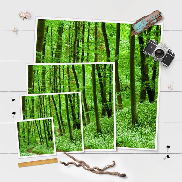 Prints green Romantic Forest Track