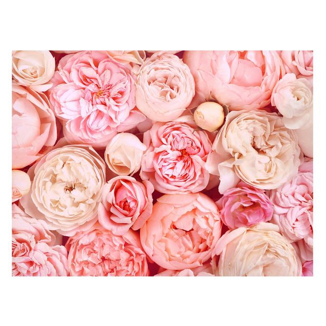 Magnet boards flower Roses Rosé Coral Shabby