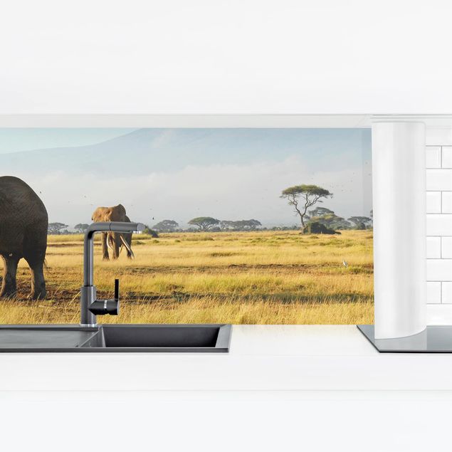 Self adhesive film Elephants In Front Of The Kilimanjaro In Kenya