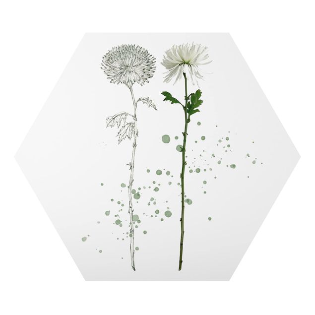 Modern art prints Botanical Watercolour - Dandelion
