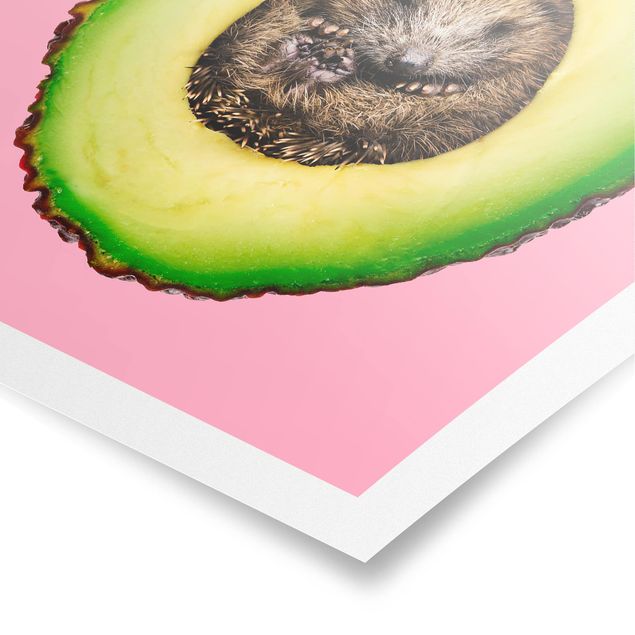 Prints pink Avocado With Hedgehog