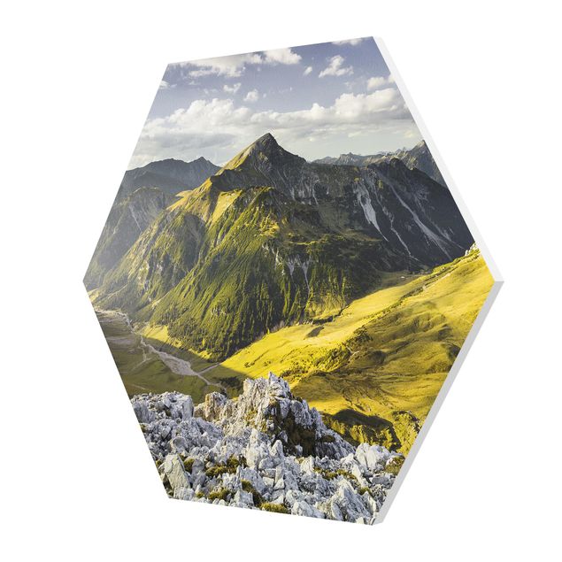 Forex prints Mountains And Valley Of The Lechtal Alps In Tirol