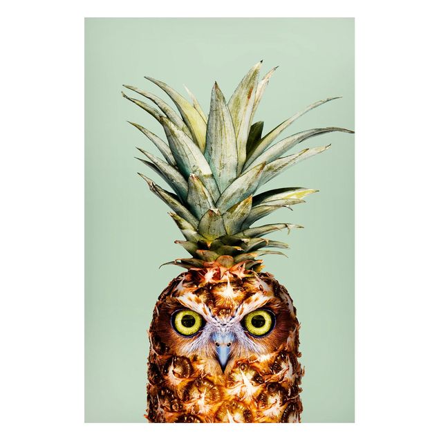 Kitchen Pineapple With Owl