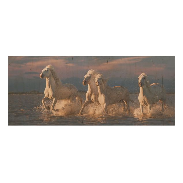 Prints Wild Horses In Kamargue