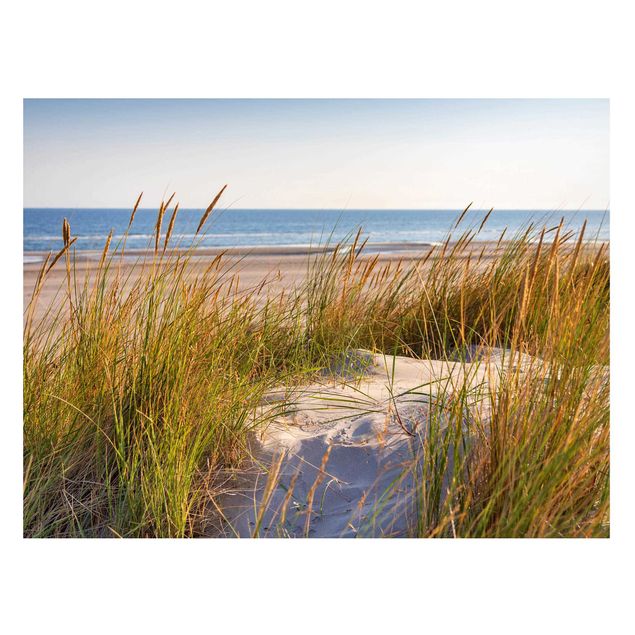 Landscape canvas prints Beach Dune At The Sea