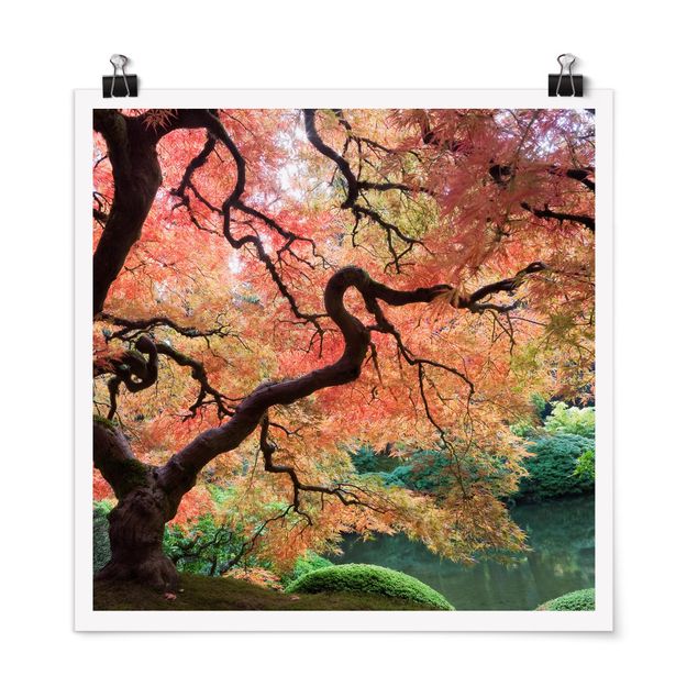Trees on canvas Japanese Garden