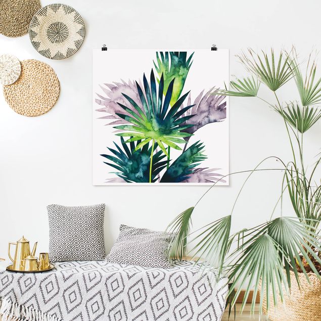 Kitchen Exotic Foliage - Fan Palm