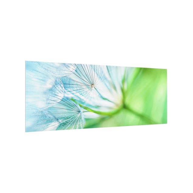 Glass splashback abstract Abstract dandelion