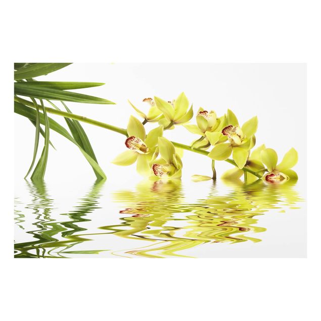 Glass Splashback - Elegant Orchid Waters - Landscape 2:3