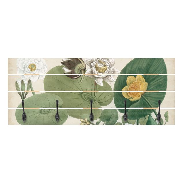 Green coat rack Vintage Board White Water-Lily