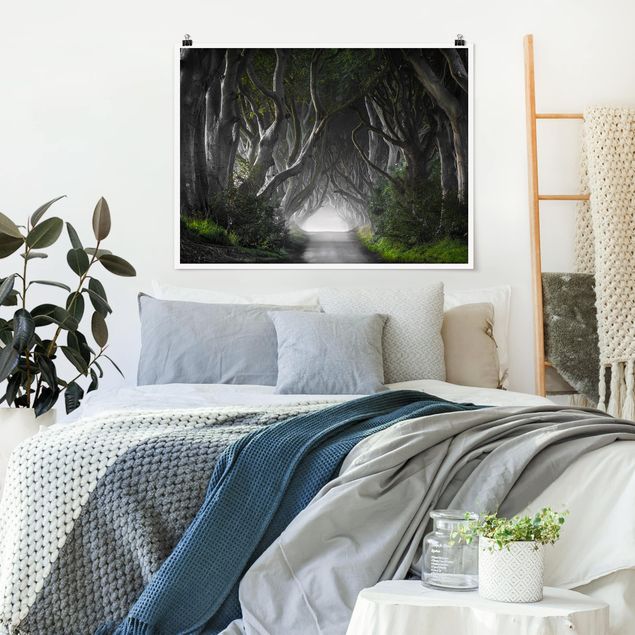 Landscape canvas prints Forest In Northern Ireland