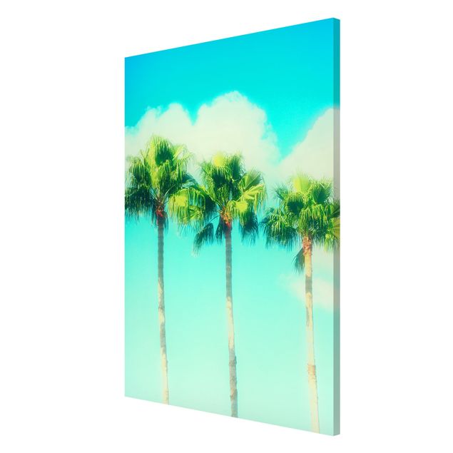 Magnet boards flower Palm Trees Against Blue Sky