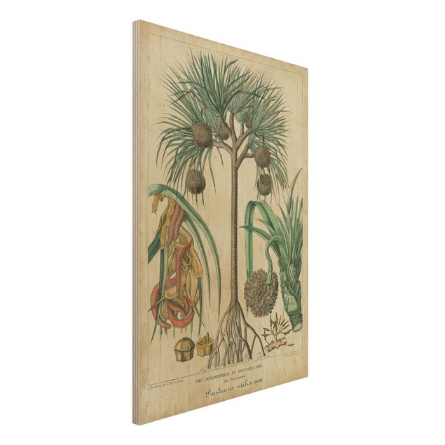 Kitchen Vintage Board Exotic Palms I