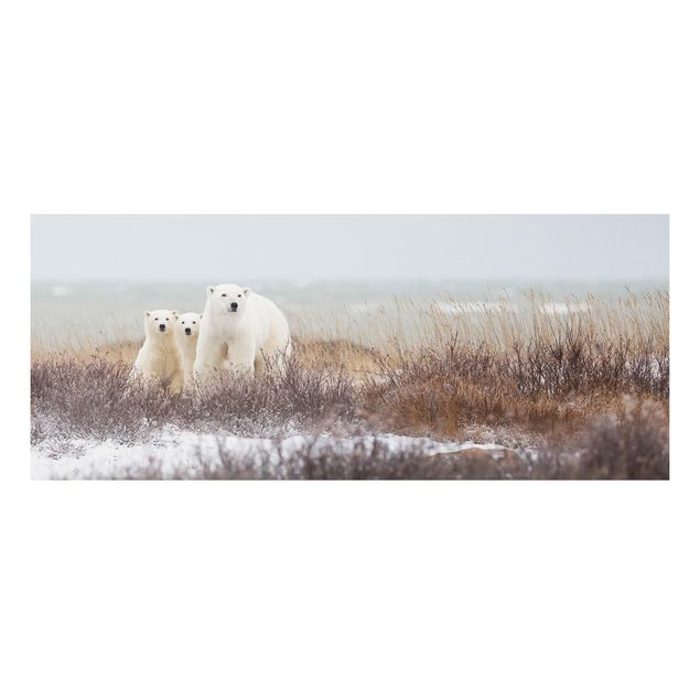 Bear wall art Polar Bear And Her Cubs