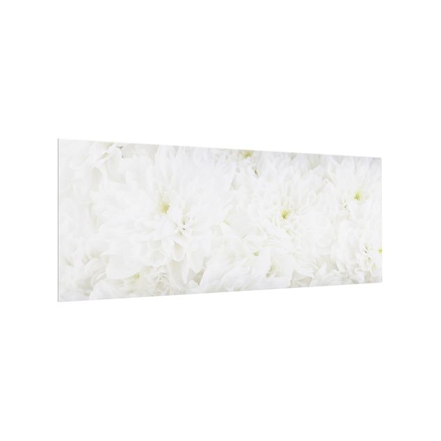 Glass splashback flower Dahlias Sea Of Flowers White