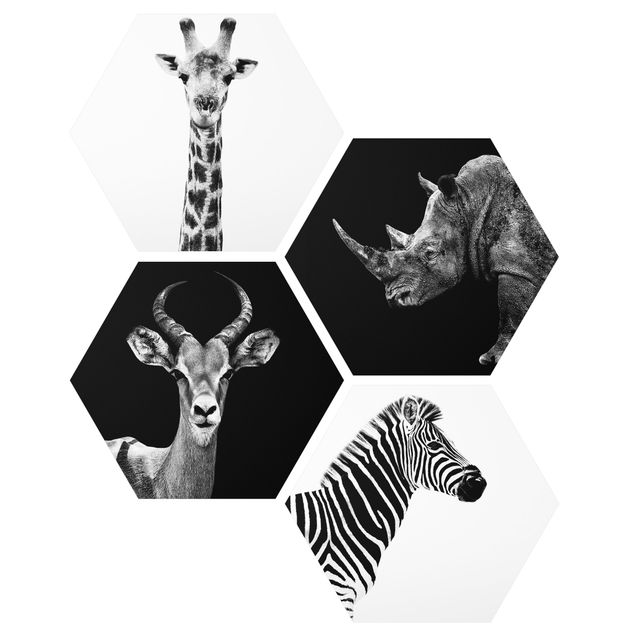 Prints animals Safari Quartet