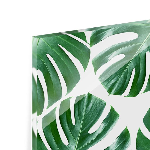 Glass Splashback - Tropical Green Leaves Monstera - Panoramic