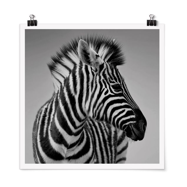 Animal wall art Zebra Baby Portrait II