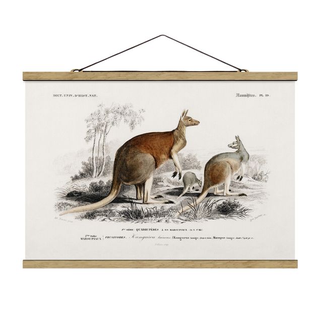 Animal wall art Vintage Board Kangaroo
