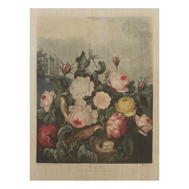 Wood prints flower Botany Vintage Illustration Of Roses