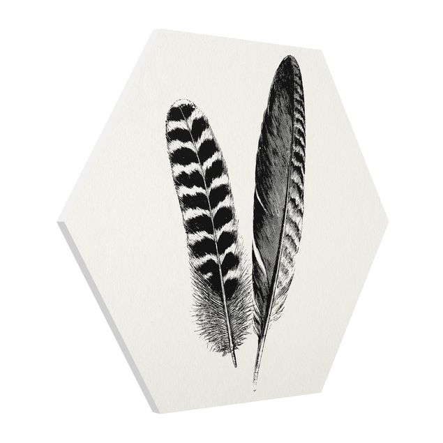 Forex prints Two Feathers - Drawing