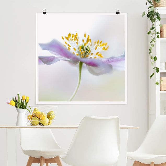 Prints floral Windflower In White
