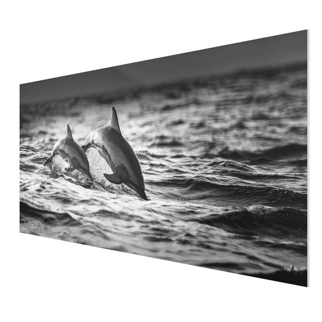 Animal canvas Two Jumping Dolphins