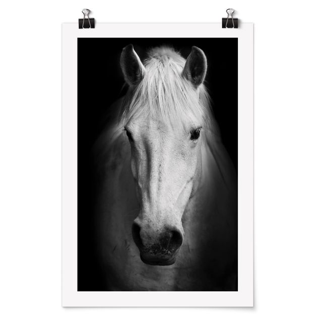 Black and white poster prints Dream Of A Horse