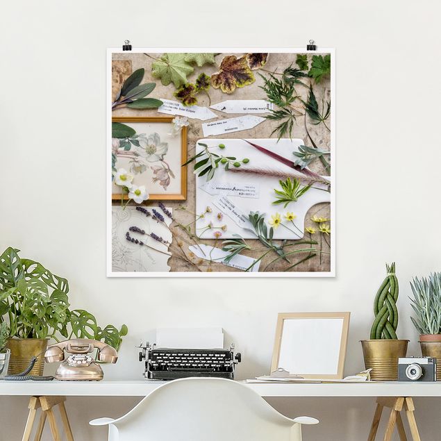 Vintage wall art Flowers And Garden Herbs Vintage