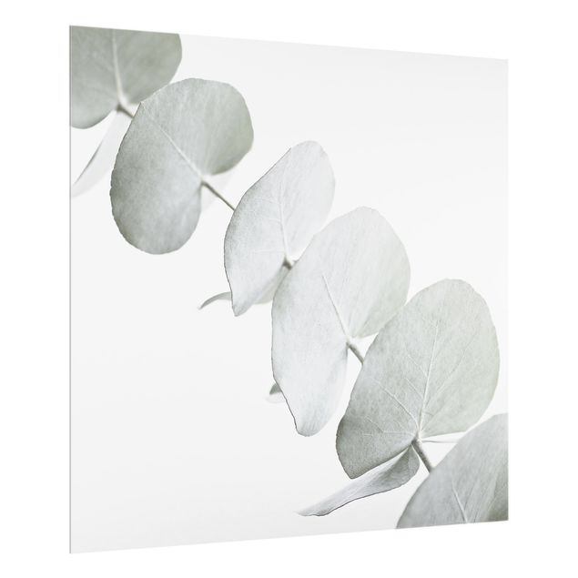 Monika Strigel Art prints Eucalyptus Branch In White Light