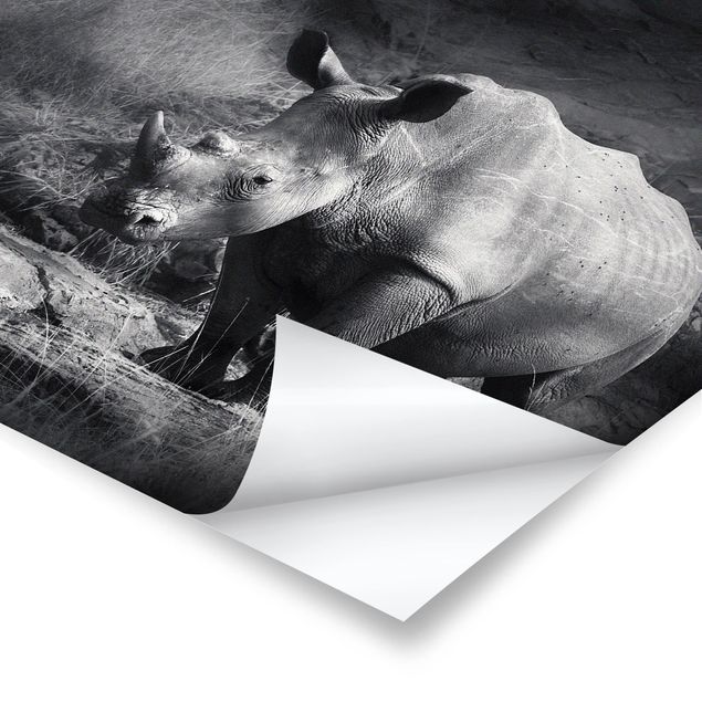 Poster print Lonesome Rhinoceros