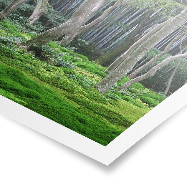 Landscape poster prints Japanese Forest