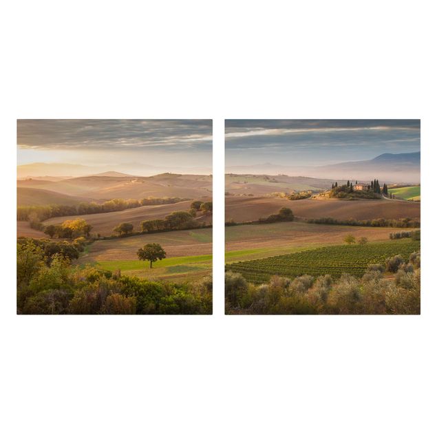 Landscape canvas wall art Olive Grove In Tuscany