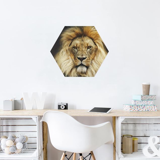 Prints animals Wisdom Of Lion