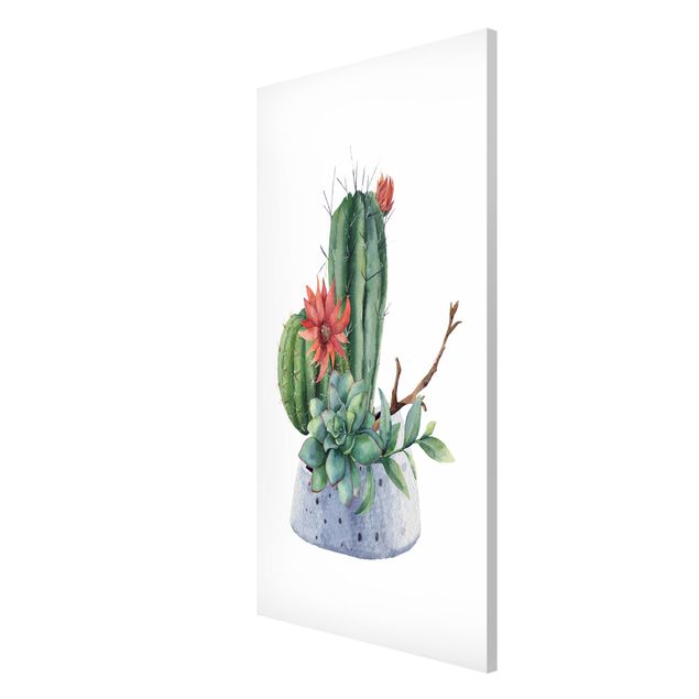Floral canvas Watercolour Cacti Illustration