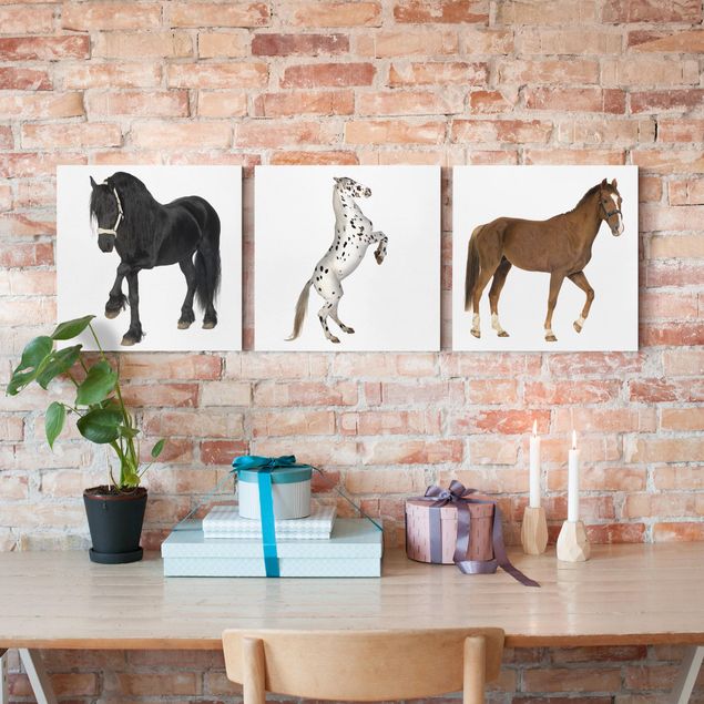Horse canvas wall art Three Horses Trio