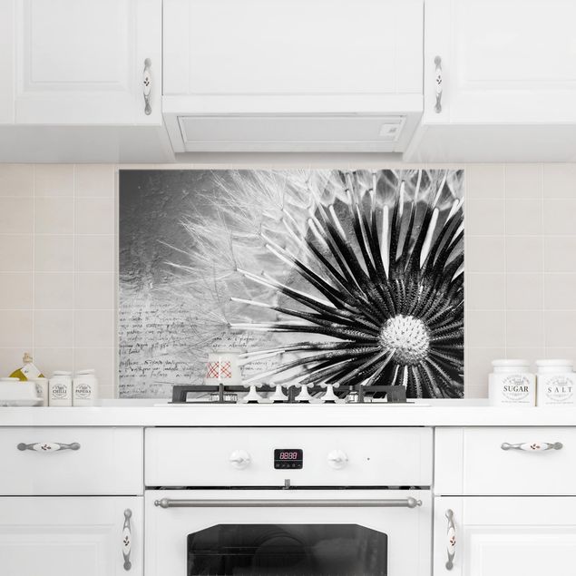 Glass splashback kitchen flower Dandelion Black & White