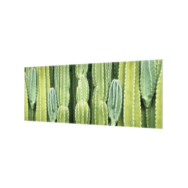 Glass Splashback - Cactus Wall - Panoramic