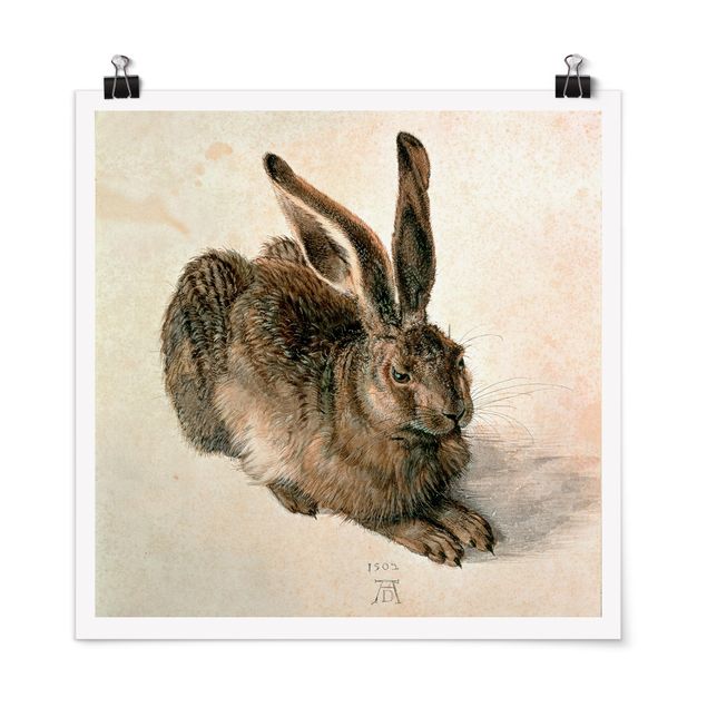 Art posters Albrecht Dürer - Young Hare