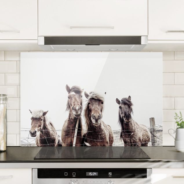 Kitchen Icelandic Horse
