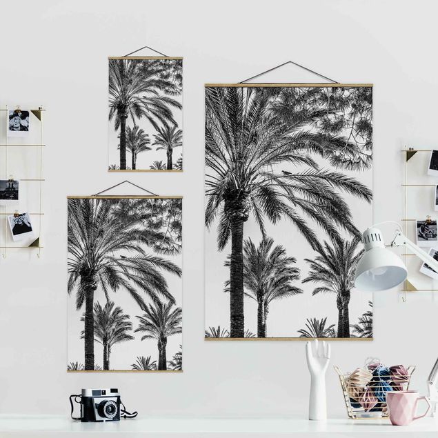 Prints black and white Palm Trees At Sunset Black And White