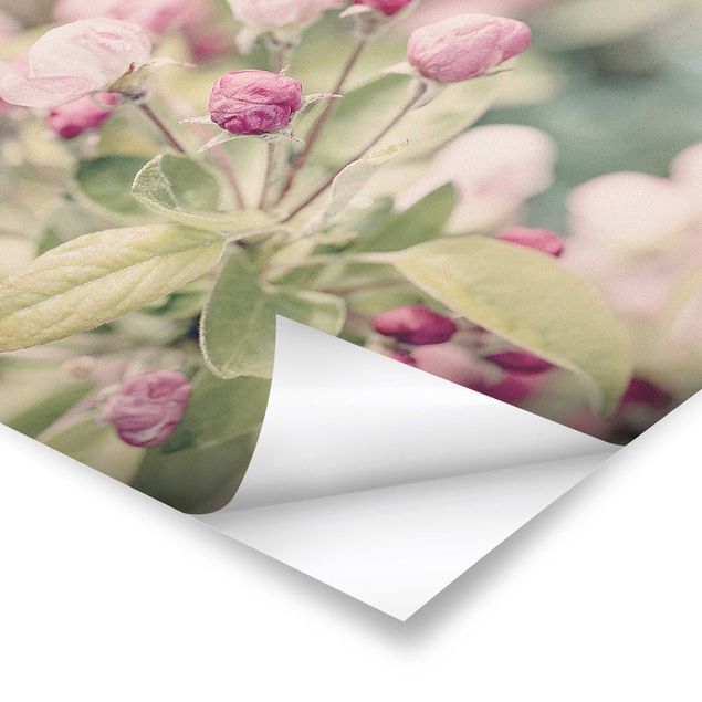 Prints Apple Blossom Bokeh Light Pink