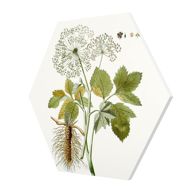 Prints Wild Herbs Board IV