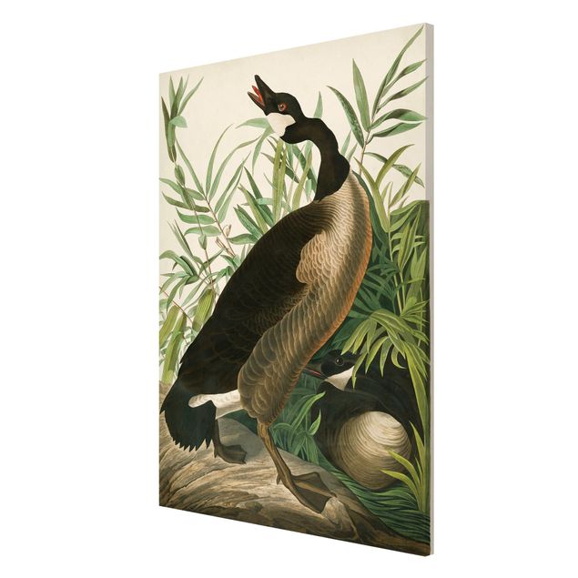 Flower print Vintage Board Canada Goose
